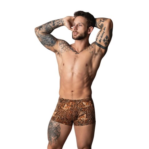 Male Power Pantalon Corto XL z pierścieniem silikonowym, wzor leopard brązowy