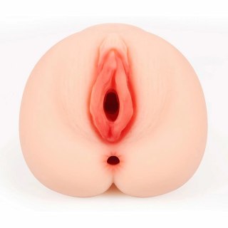 Kokos Bellana L - Model anatomiczny z rozbudowaną strukturą wnętrza