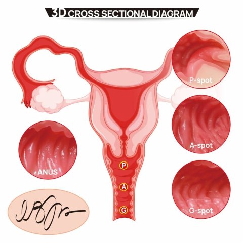 Kokos Real Hips 004 Vanilla Onahole - Anatomiczny model podwojnej warstwy TPE