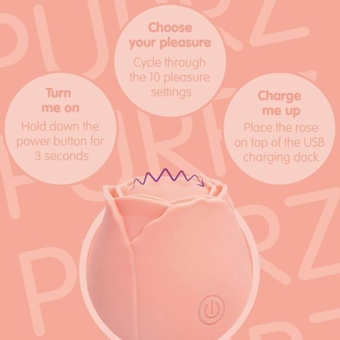 Skins Rose Buddies The Rose Purrz - wibrujący model silikonowy USB rożowy