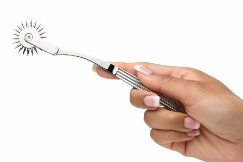 XR Brands Wartenberg Wheel Silver - precyzyjne narzędzie do stymulacji skory