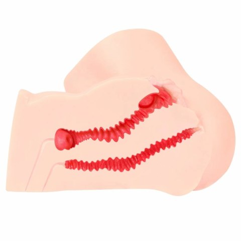 Kokos Adel Onahole - anatomiczny model intymny TPE, naturalny kolor