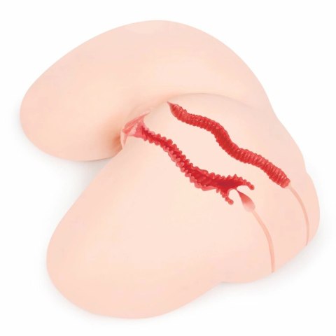 Kokos Hanna model anatomiczny biodra TPE naturalny rozmiar