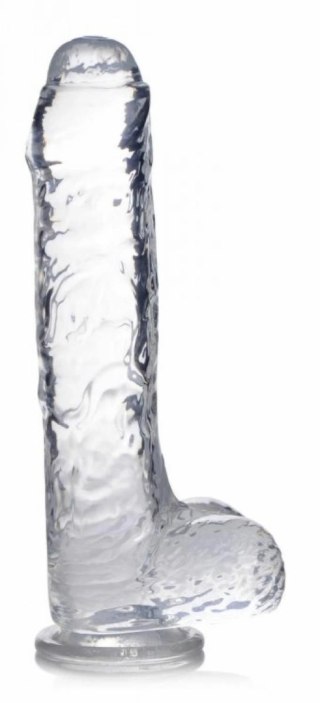 Curvetoys Jock C-Thru Transparent 25cm - model anatomiczny z przyssawką