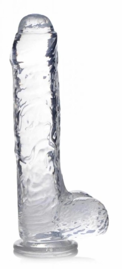 Curvetoys Jock C-Thru Transparent 25cm - model anatomiczny z przyssawką