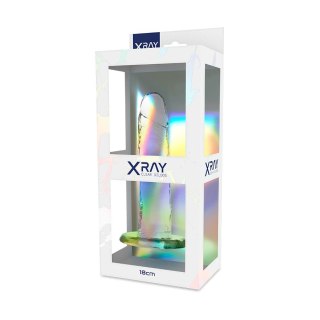 XRAY Jasny Model Clear 18 cm - Elastyczna Powierzchnia, Przezroczysty