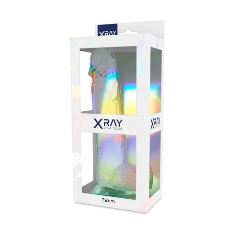 XRAY X Ray Clear - przezroczysty model anatomiczny z kulkami 22 cm