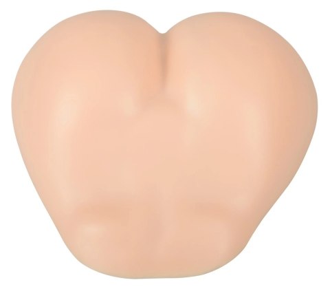 SilexD Daphne Model anatomiczny z systemem Silexpan, silikon, 27x32,5cm