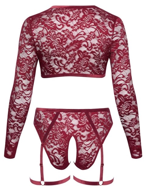 Cottelli Curves komplet koronkowy czerwony 3XL z topem i majtkami