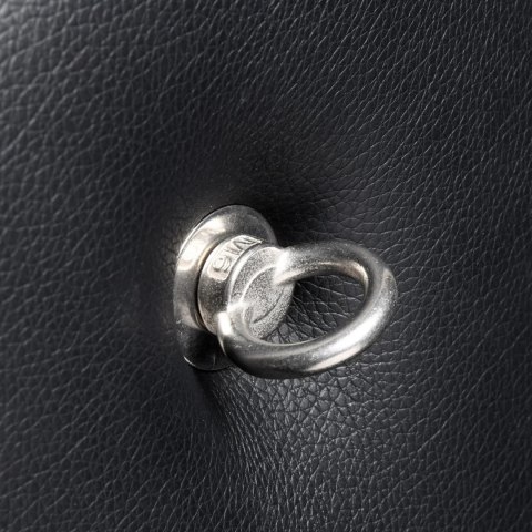 XR Brands Uprząż Krzyż Św. Andrzeja ścienny, miękka skora PVC