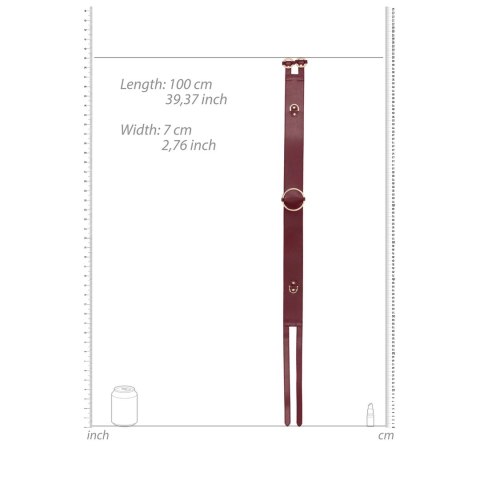 Ouch! Halo pas biodrowy S/M z pierścieniami i złotymi zdobieniami