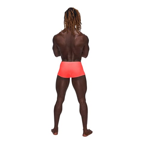 Male Power Barely There mini szorty XL niskie wycięcie anatomiczne