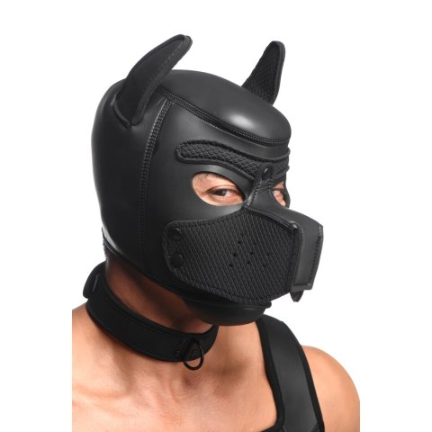 XR Brands Zestaw neoprenowy Dog Play - kaptur, obroża, uprząż, smycz