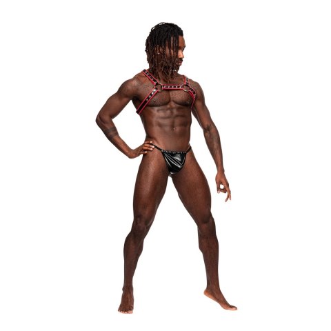 Male Power Leo Harness regulowane szelki z imitacji skory czarne