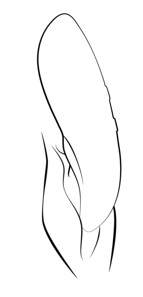 We-Vibe Touch X Green Velvet - kompaktowy model, 8 prędkości, wodoodporny