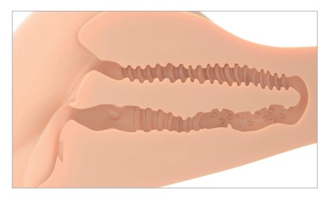 PDX Plus Banger Light - Model Torsu z Obrotem 360°, materiał Fanta Flesh