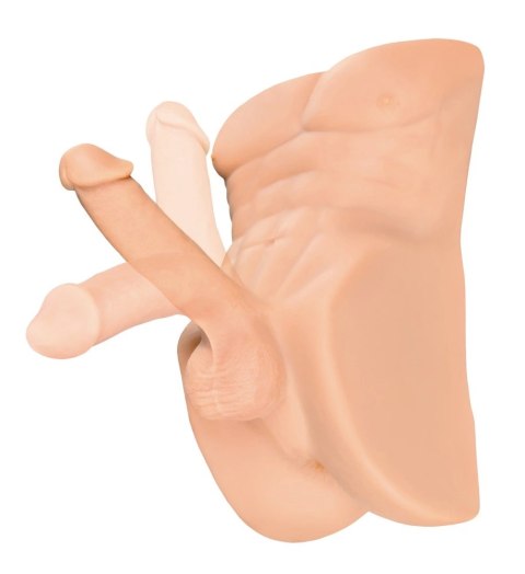 PDX Plus Perfect Ride Light - anatomiczny tors męski, ruchomy element, 33 cm