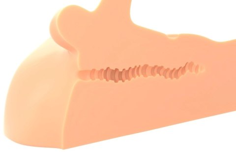 PDX Plus Perfect Ride Light - anatomiczny tors męski, ruchomy element, 33 cm