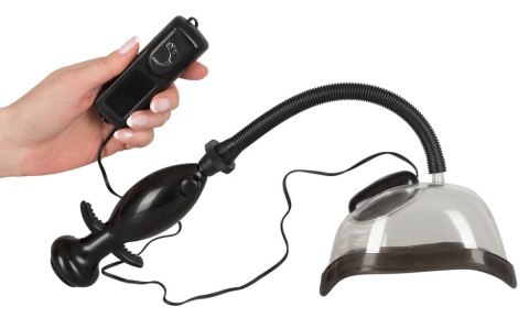 You2Toys Model Air Touch - wibrująca przyssawka z pilotem, 14,2 cm