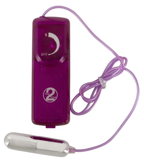 You2Toys Zestaw Intymnych Akcesoriow 12-częściowy, fioletowy ABS/TPE