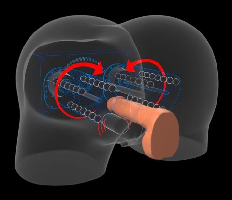 Pipedream PDX Elite Torso z Pośladkami i Pilotem, 31x30x18 cm, TPE