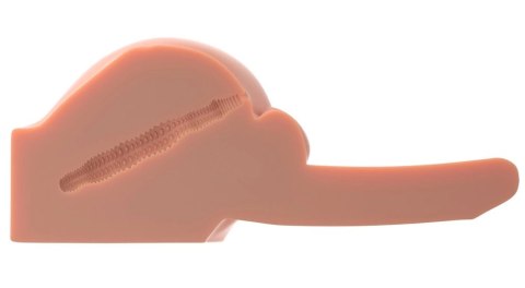 Pipedream PDX Male model anatomiczny z dźwiękiem, Fanta Flesh, USB