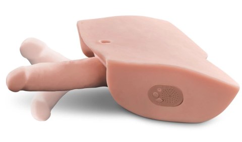 Pipedream PDX Male - model anatomiczny z dźwiękiem, naturalny rozmiar