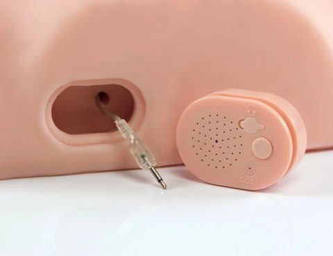 Pipedream PDX Male - model anatomiczny z dźwiękiem, naturalny rozmiar