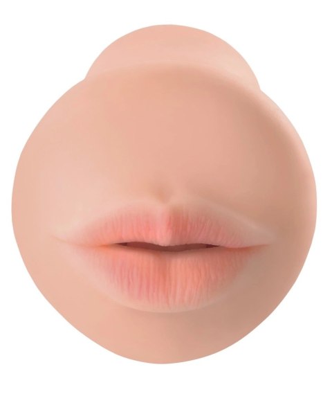 Pipedream Extreme Toyz PET model To Go kompaktowy model jamy ustnej 16,3 cm