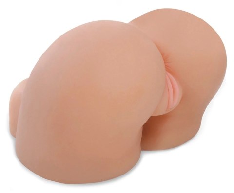 Pipedream PET Model Anatomiczny Z Dwiema Strefami 27,5 cm 4,5 kg