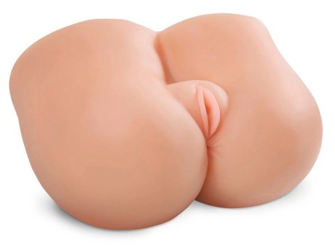 Pipedream PET Model Anatomiczny Z Dwiema Strefami 27,5 cm 4,5 kg