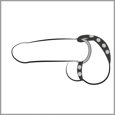 Bad Kitty - Czarny pasek z wymiennymi pierścieniami, regulowany, 3 rozmiary