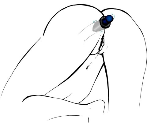 You2Toys Korek intymny tunelowy M silikonowy czarny 10 cm