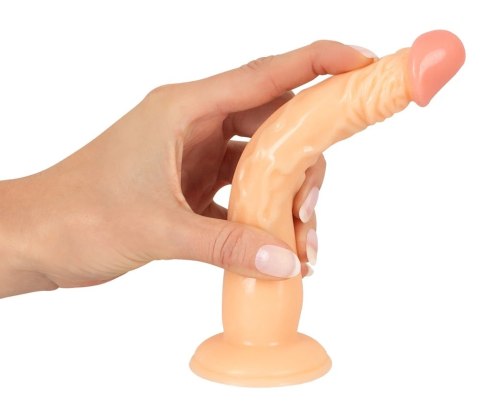 European Lover model 18 cm z przyssawką - anatomiczny kształt PVC