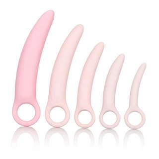 CalExotics Inspire Silicone Dilator Zestaw 5 Rozmiarow Rożowy
