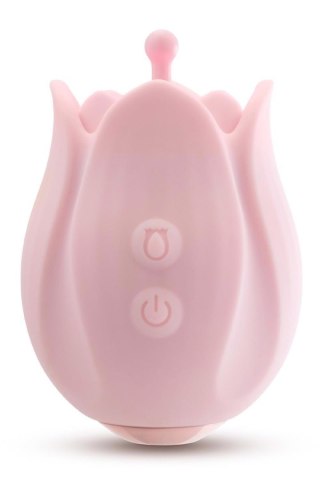 PLAY WITH ME ROMANTIC ROSE PINK