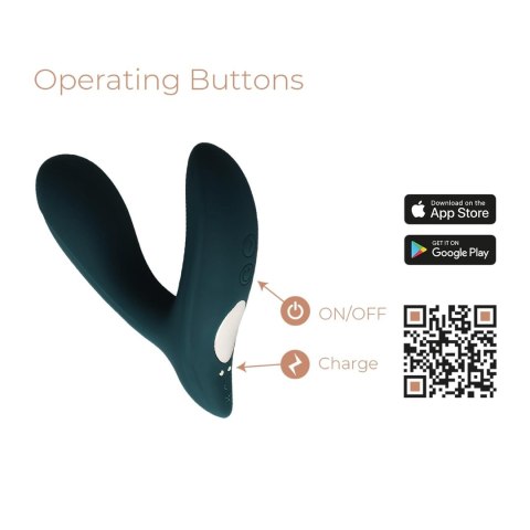 Pulsation (Prostate Stimulator + APP)