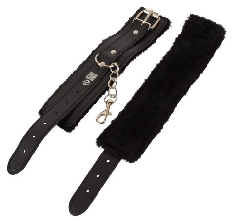 Magic shiver Together