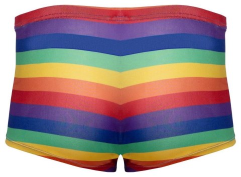 Men's Boxer Briefs Rainbow XL