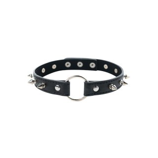 Adjustable collar with spikes