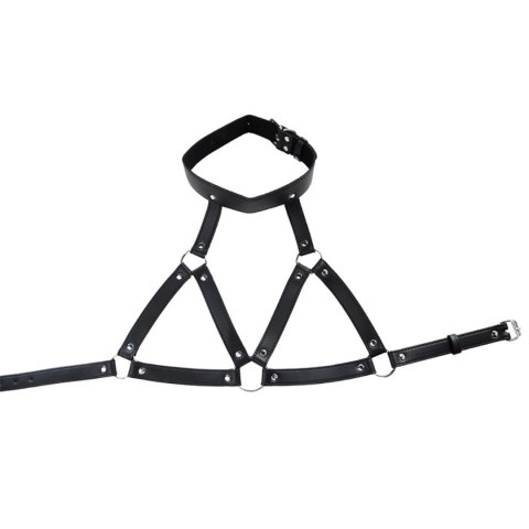 Adjustable neck and chest harness