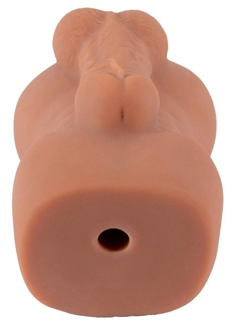 Realistixxx RealGay model anatomiczny, elastyczny TPE 16 cm