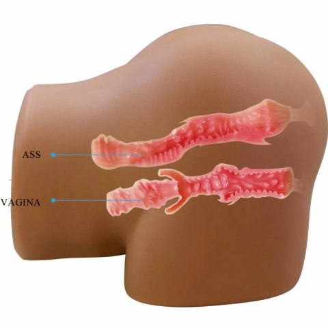 Crazy Bull Geriann model anatomiczny z dźwiękiem 5,5kg TPE