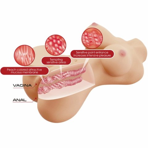 CRAZY BULL Hetty Torso anatomiczny model damski TPR 27 cm