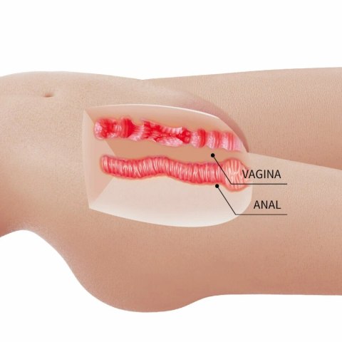 CRAZY BULL Mia - anatomiczny kobiecy tors TPR, 8,5 kg, podwojny system