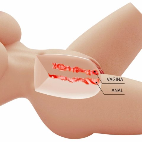 Crazy Bull Lily Torso kobiecy 41,9 cm - anatomiczny model TPR, 4 kg