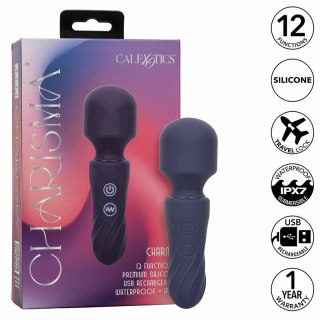CalExotics Charisma Charm masażer 12 trybow fioletowy USB wodoodporny