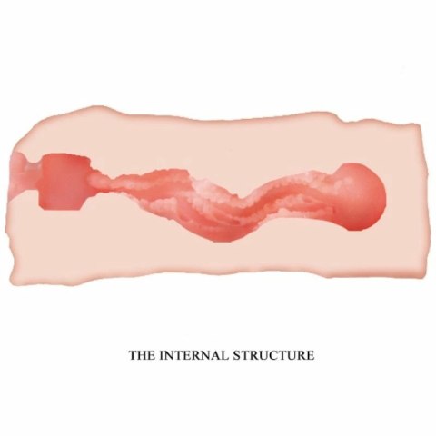 Crazy Bull Jane model kompaktowy intymny TPR 13,5 cm bez zapachu