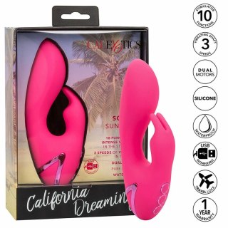 CalExotics California Dreaming So. Cal Sunshine krolik fuksja USB