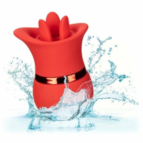 CalExotics French Kiss Suck & Play - zestaw z 2 końcowkami, silikon, USB